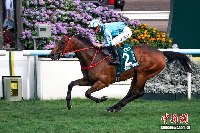 皇冠体育登录入口-香港赛驹“浪漫勇士”四夺“女皇杯”冠军|赛马|香港沙田马场|体育比赛|保险|比赛_新浪体育_新浪新闻